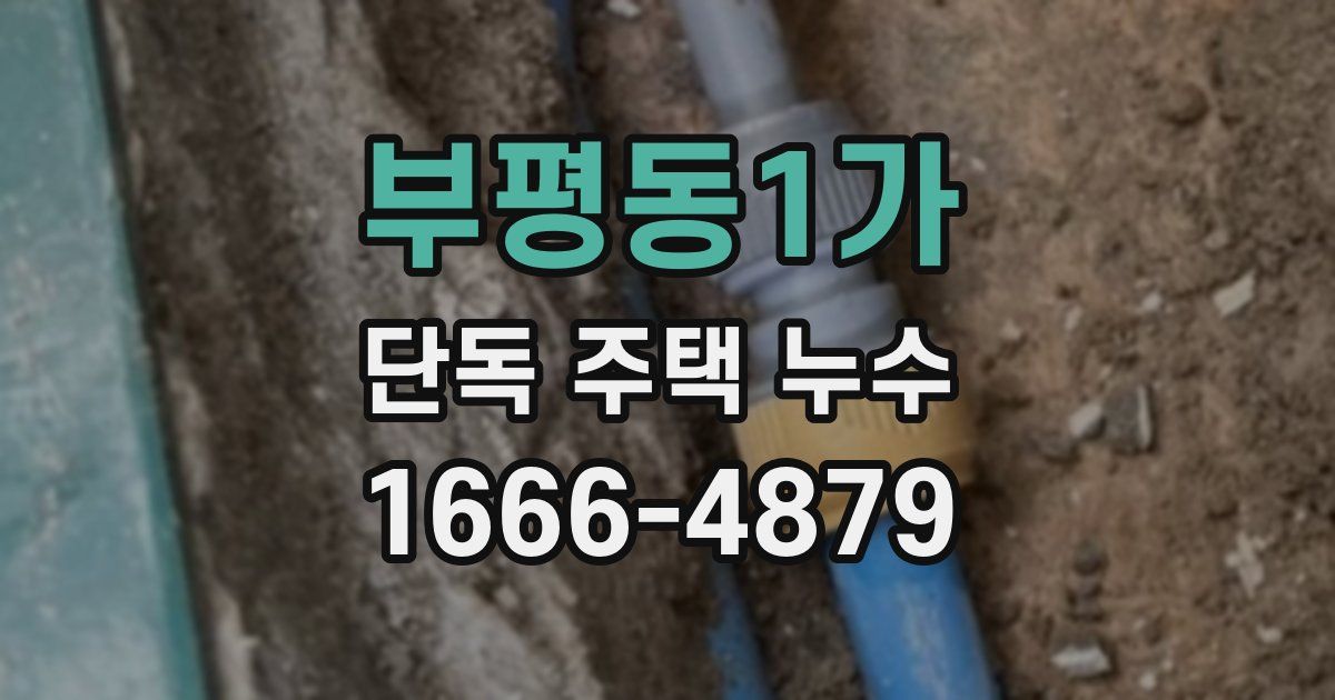 부평동1가 단독 주택 누수