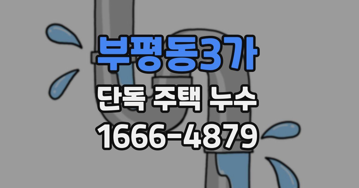 부평동3가 단독 주택 누수