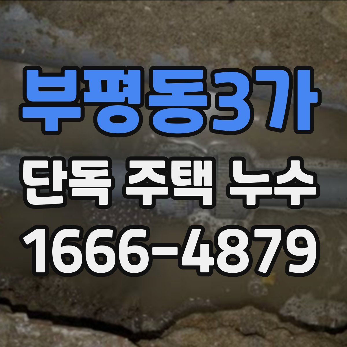 부평동3가 단독 주택 누수