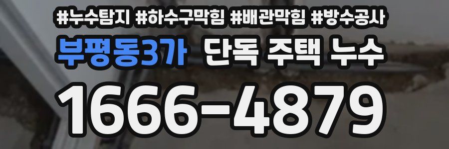 부평동3가 단독 주택 누수
