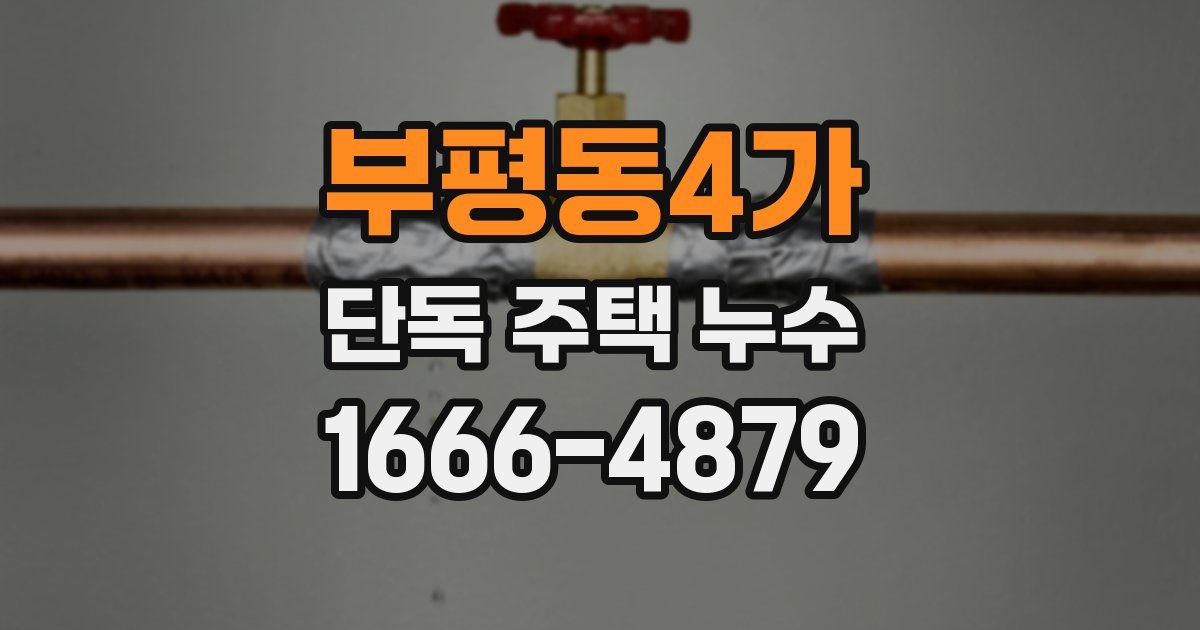부평동4가 단독 주택 누수