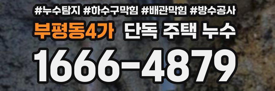 부평동4가 단독 주택 누수