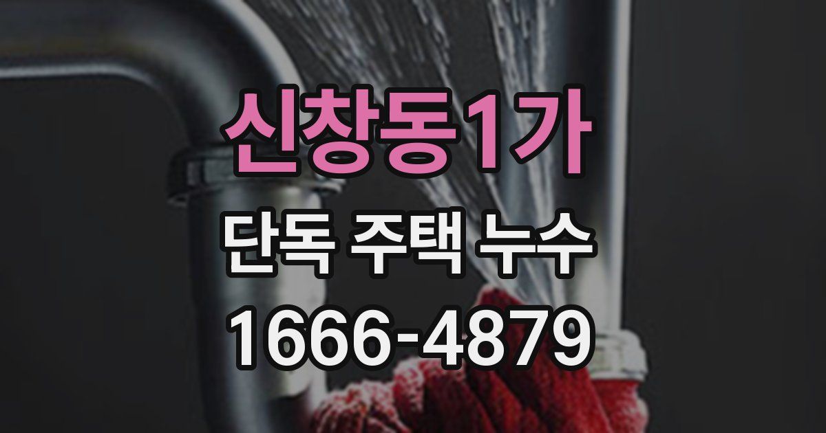 신창동1가 단독 주택 누수