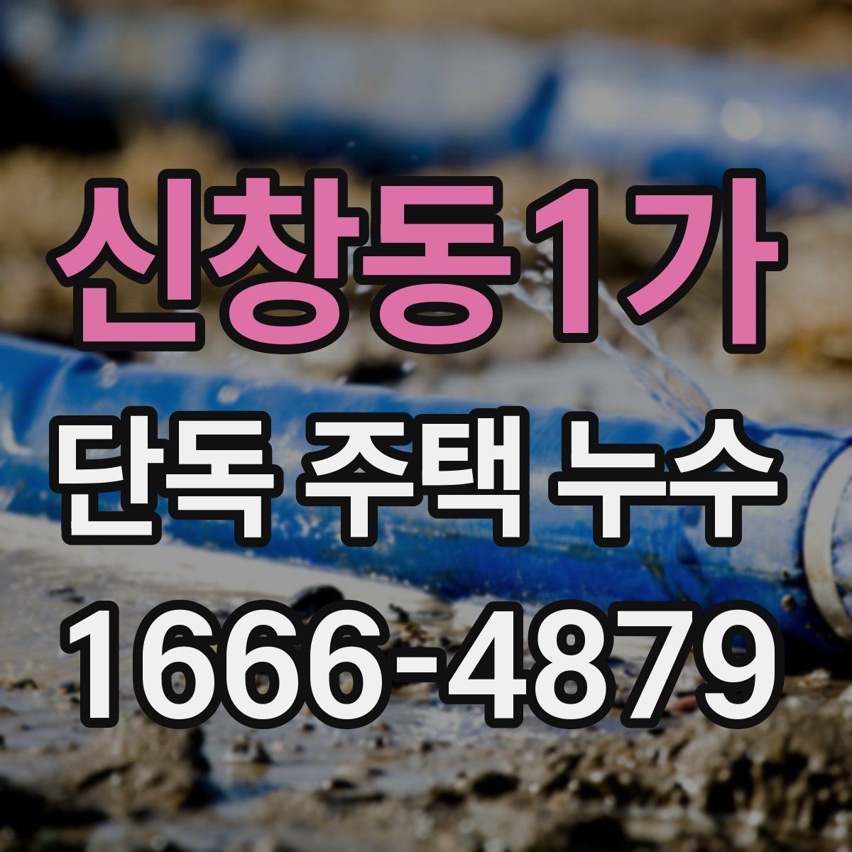 신창동1가 단독 주택 누수
