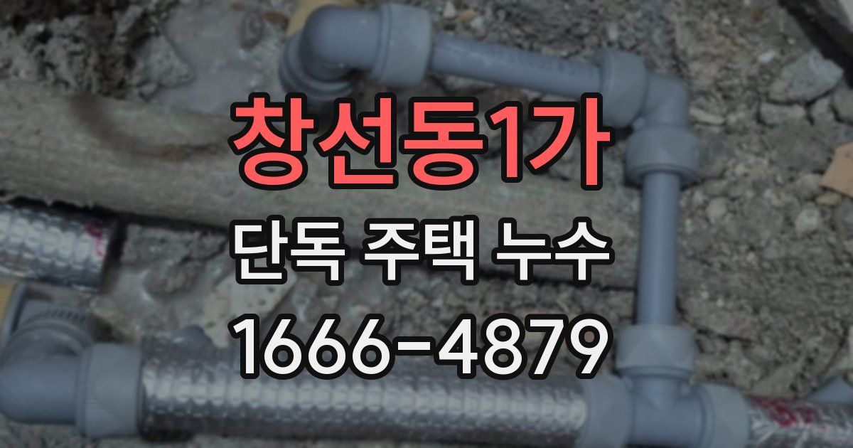 창선동1가 단독 주택 누수