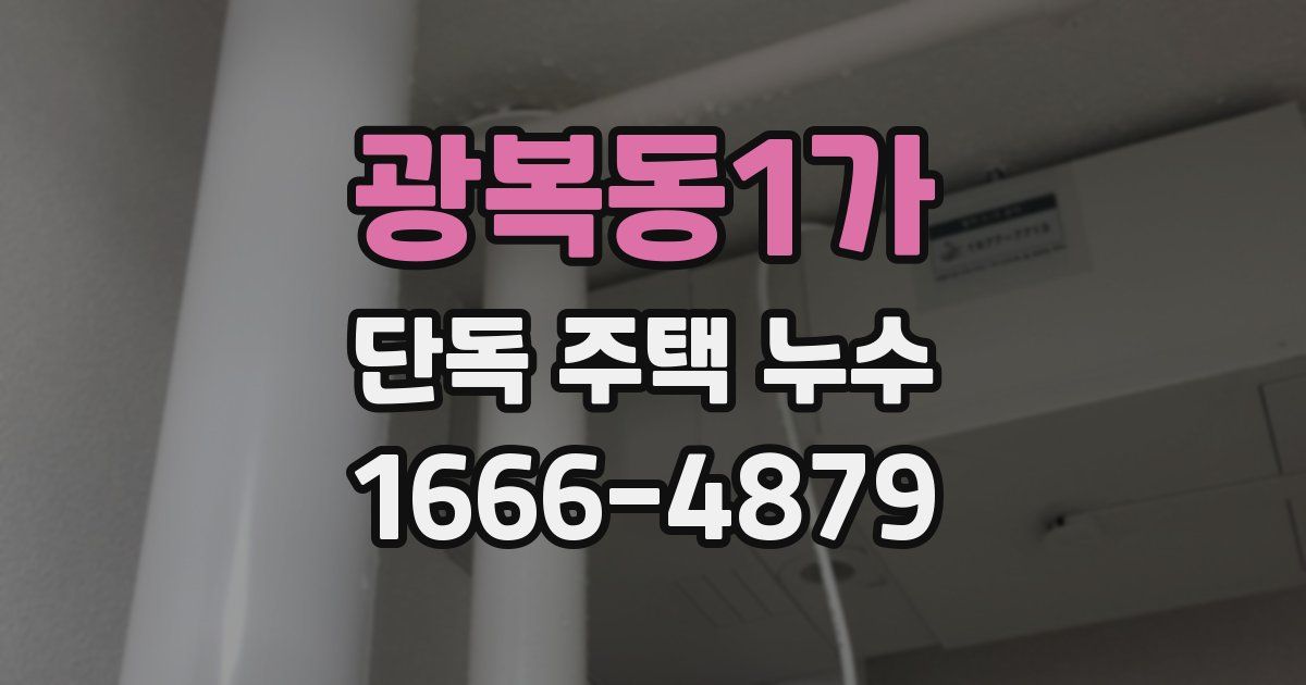 광복동1가 단독 주택 누수