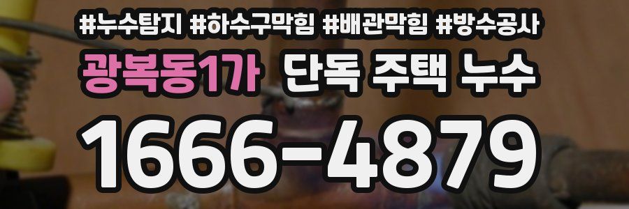 광복동1가 단독 주택 누수