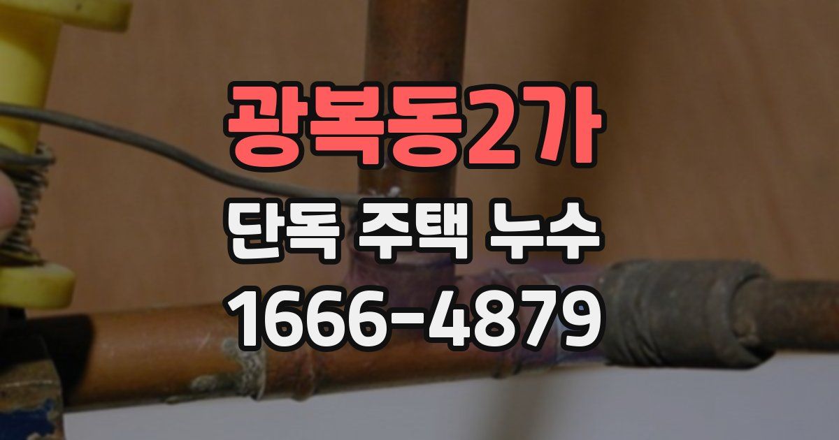 광복동2가 단독 주택 누수