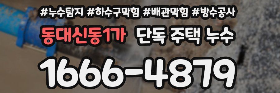동대신동1가 단독 주택 누수