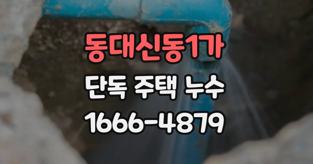 동대신동1가 단독 주택 누수