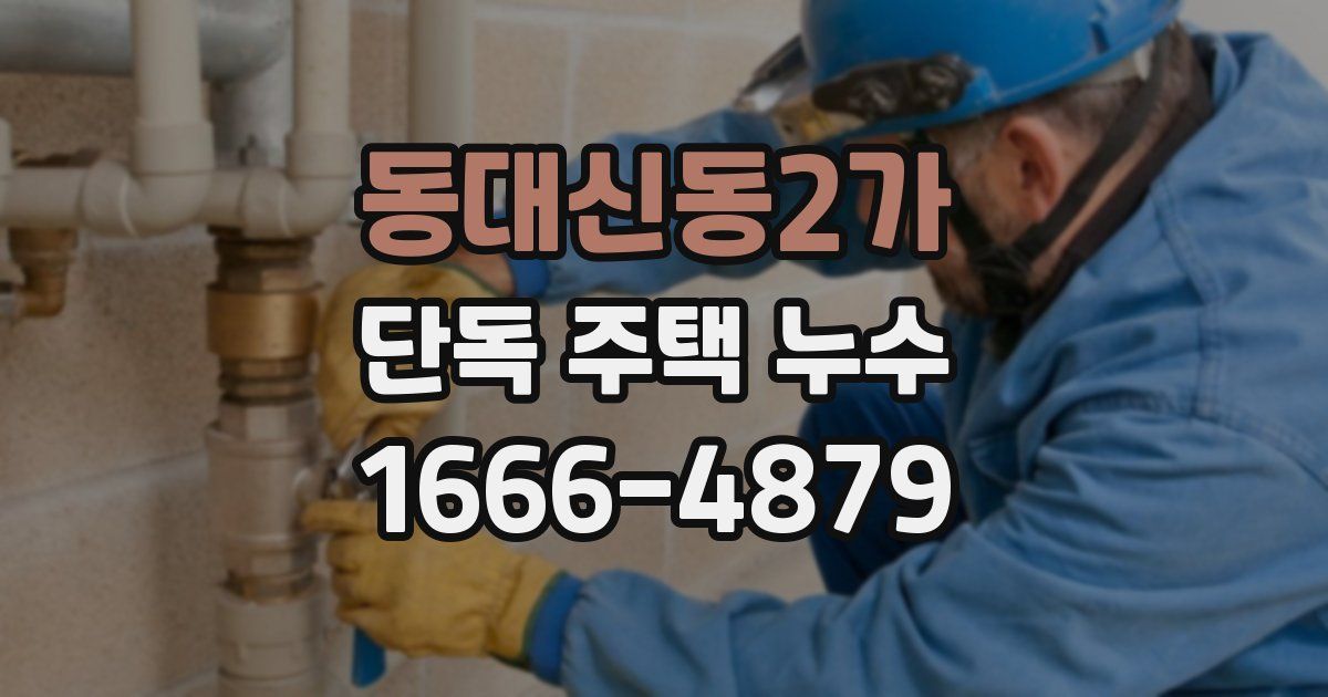 동대신동2가 단독 주택 누수