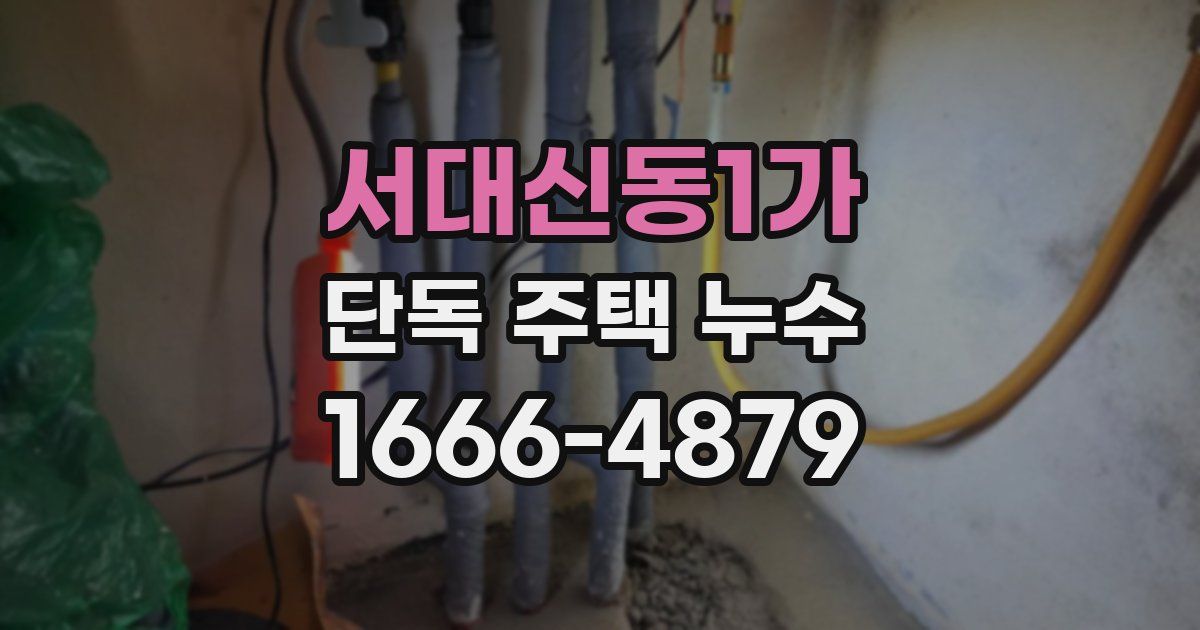 서대신동1가 단독 주택 누수