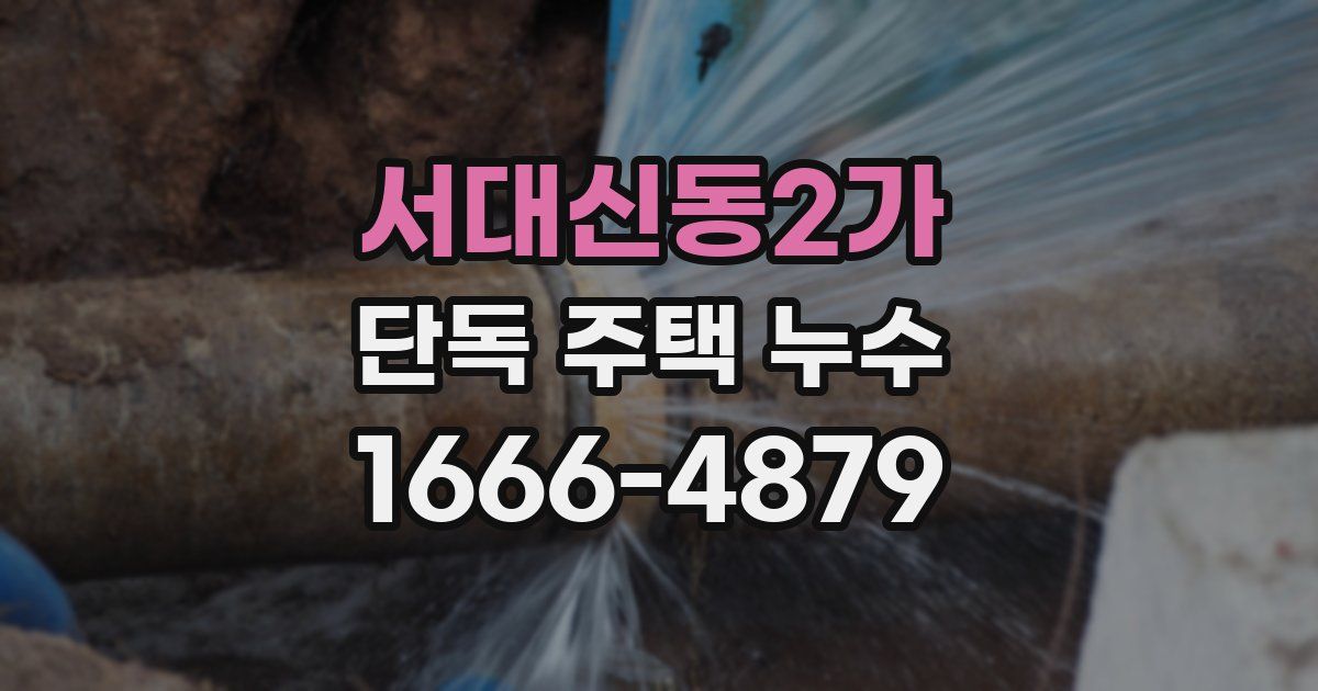 서대신동2가 단독 주택 누수