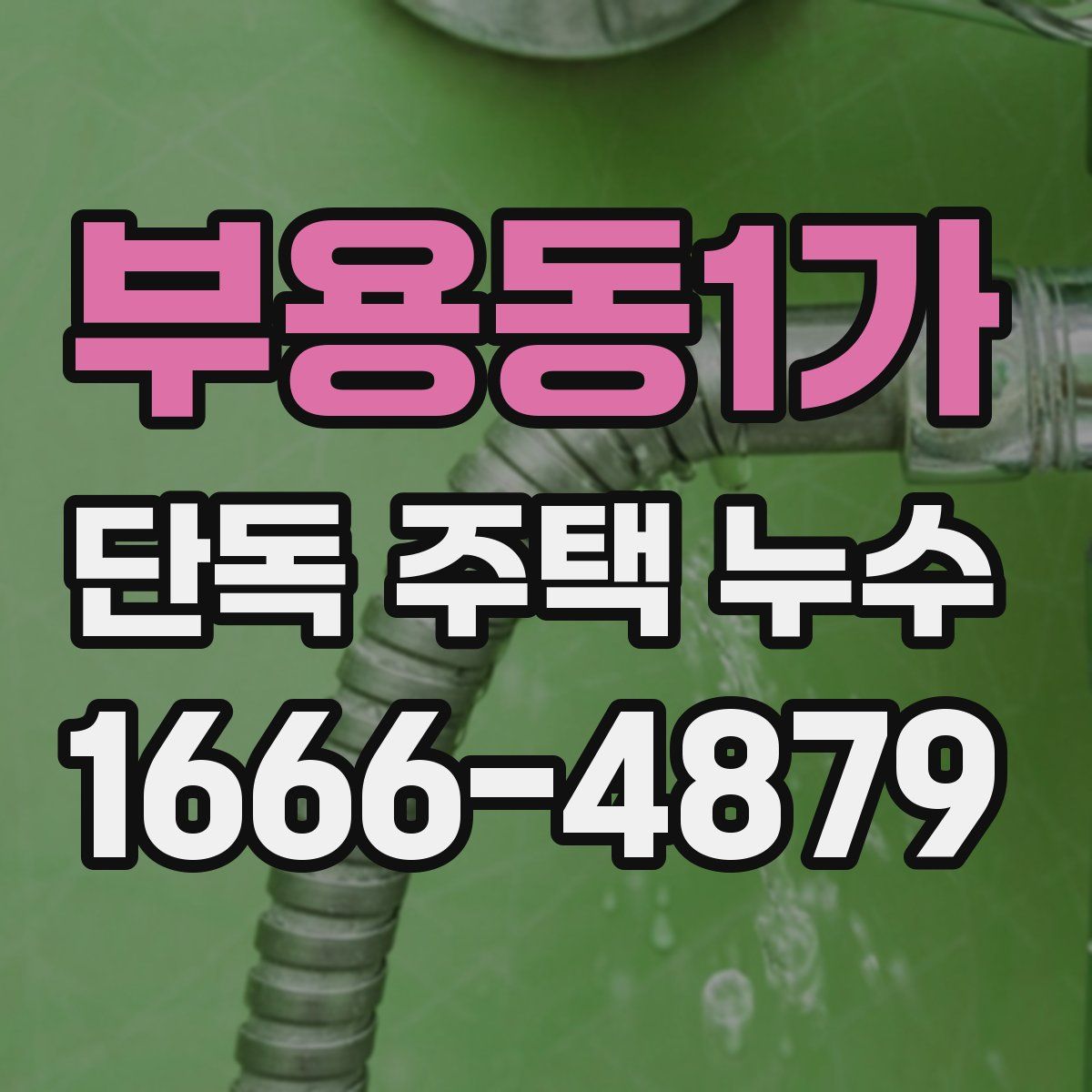 부용동1가 단독 주택 누수