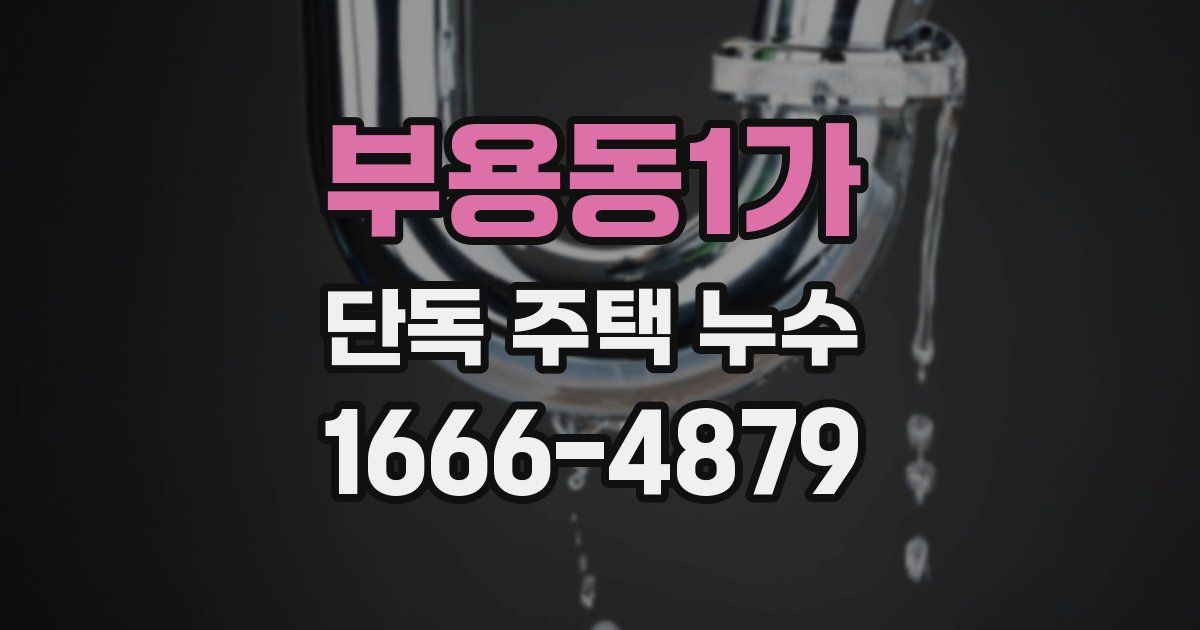 부용동1가 단독 주택 누수