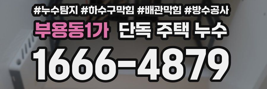 부용동1가 단독 주택 누수