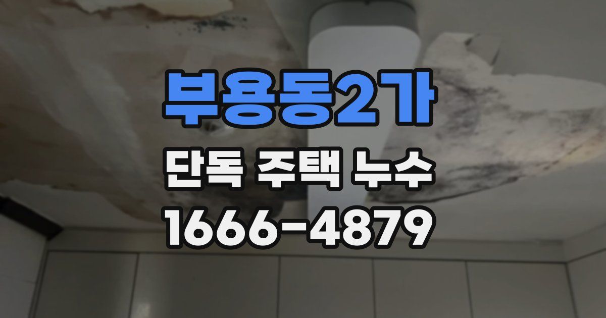부용동2가 단독 주택 누수