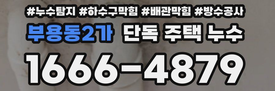 부용동2가 단독 주택 누수