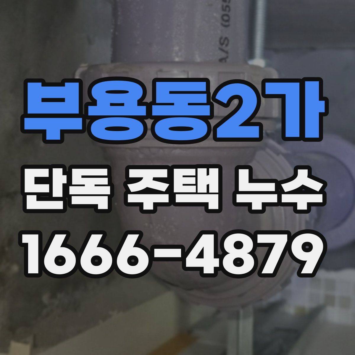부용동2가 단독 주택 누수
