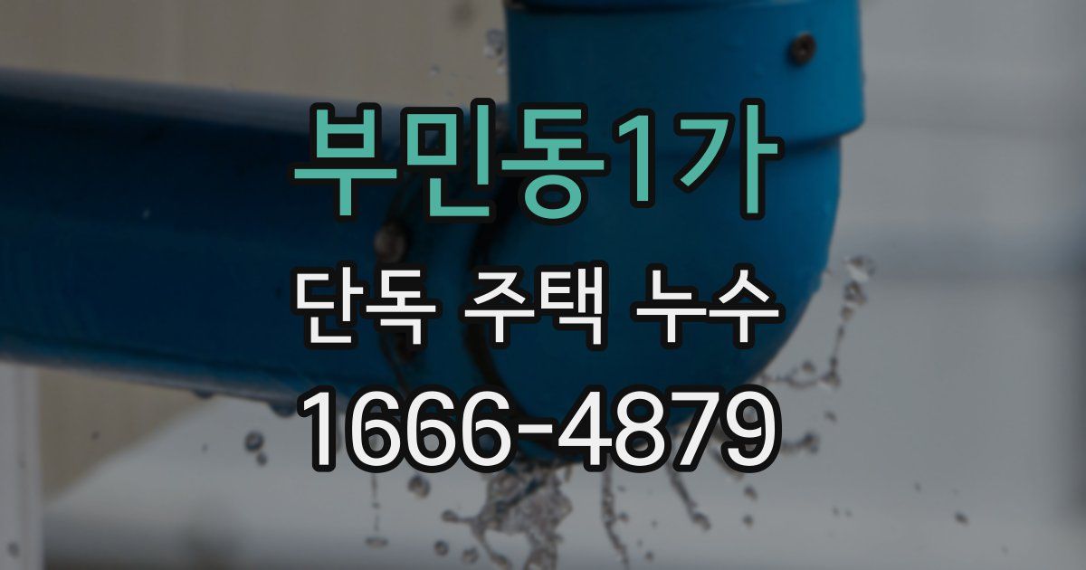 부민동1가 단독 주택 누수