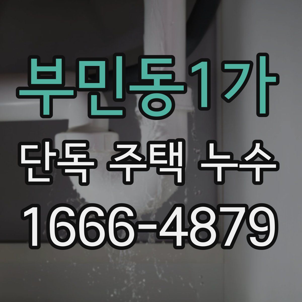 부민동1가 단독 주택 누수