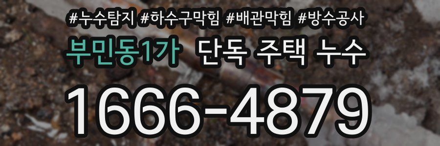 부민동1가 단독 주택 누수
