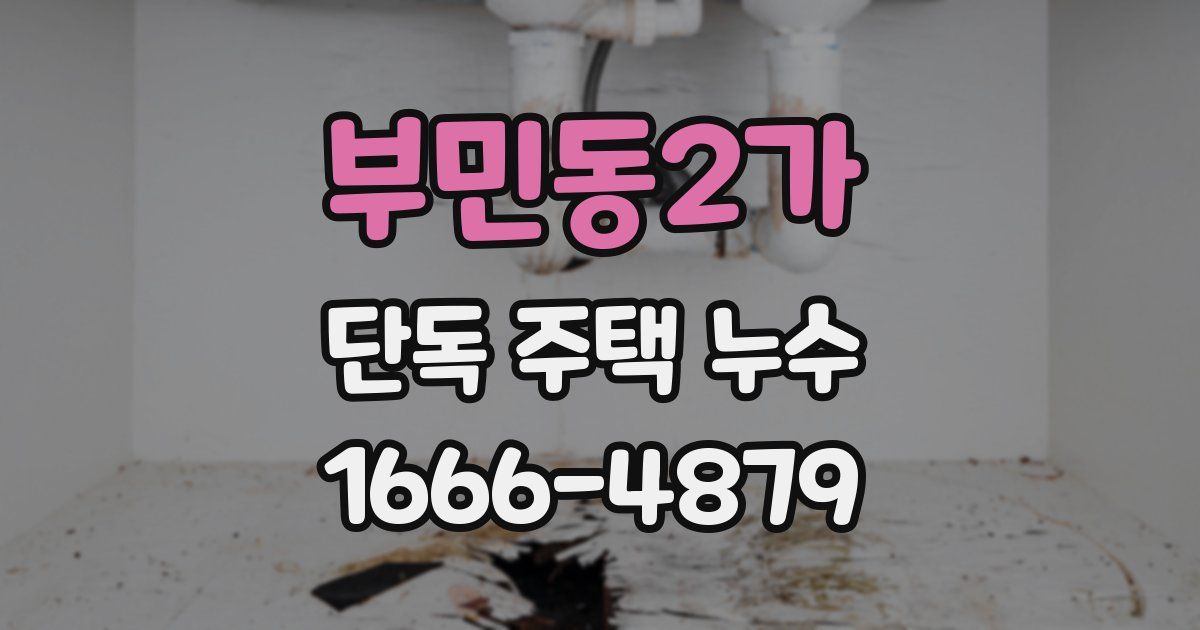 부민동2가 단독 주택 누수