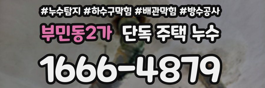 부민동2가 단독 주택 누수