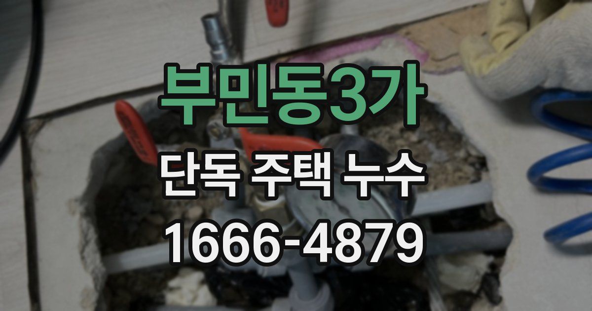 부민동3가 단독 주택 누수