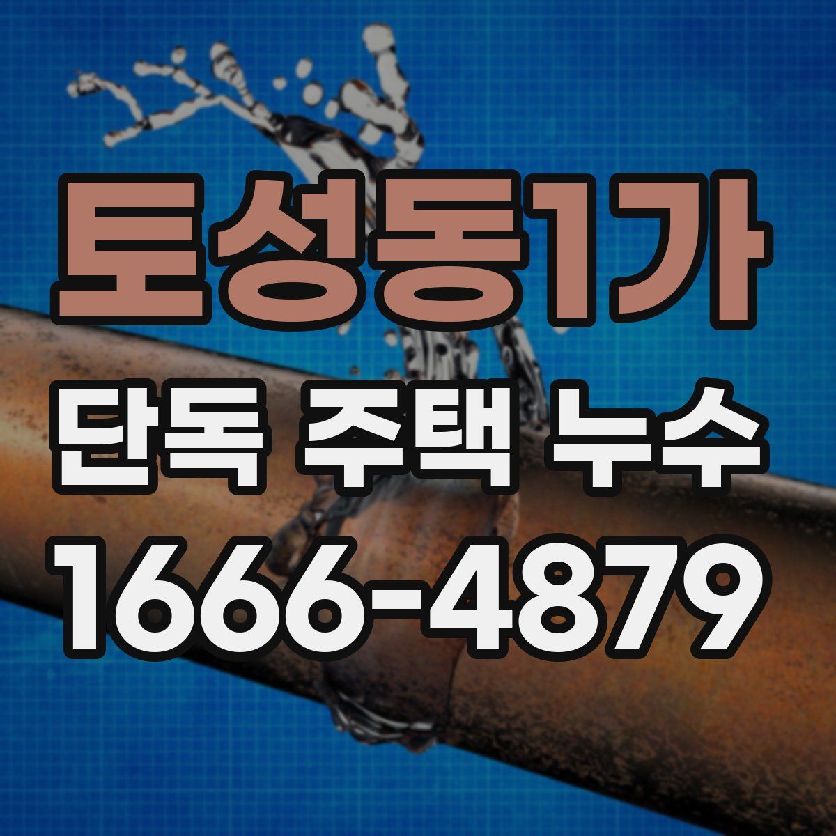 토성동1가 단독 주택 누수