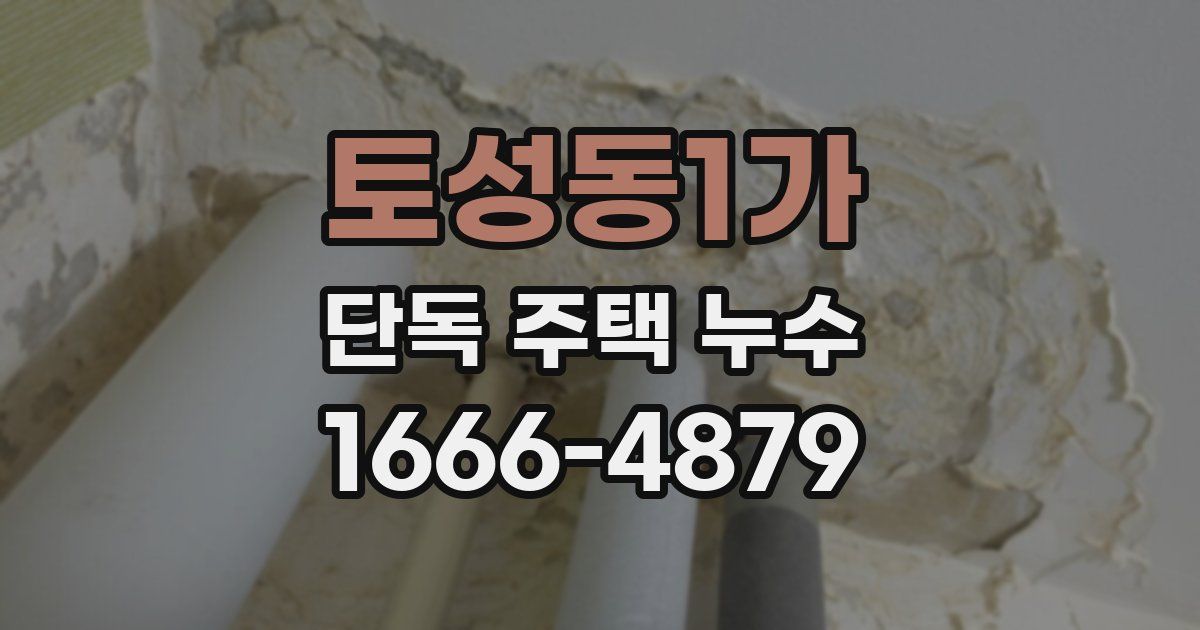 토성동1가 단독 주택 누수