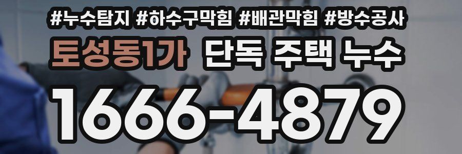 토성동1가 단독 주택 누수