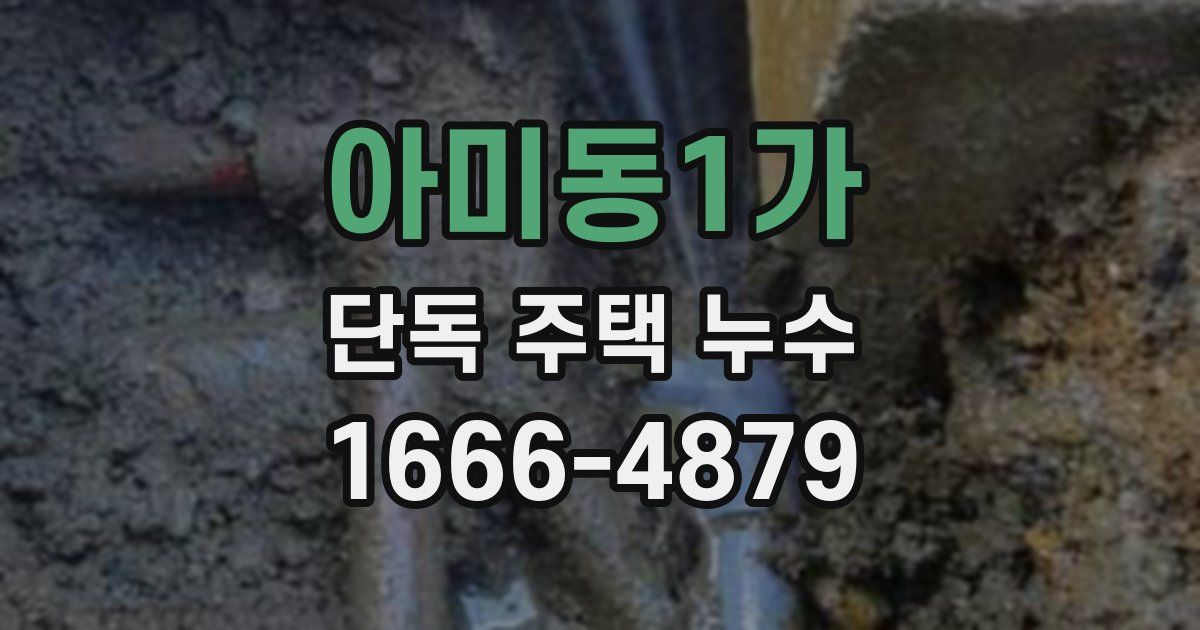 아미동1가 단독 주택 누수