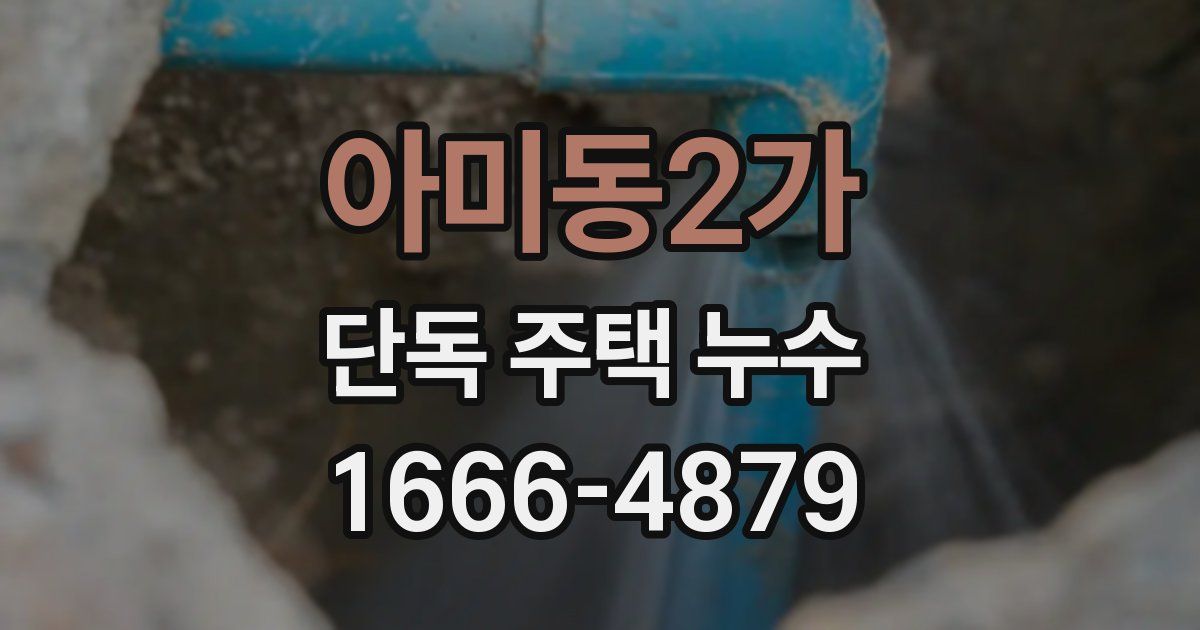 아미동2가 단독 주택 누수