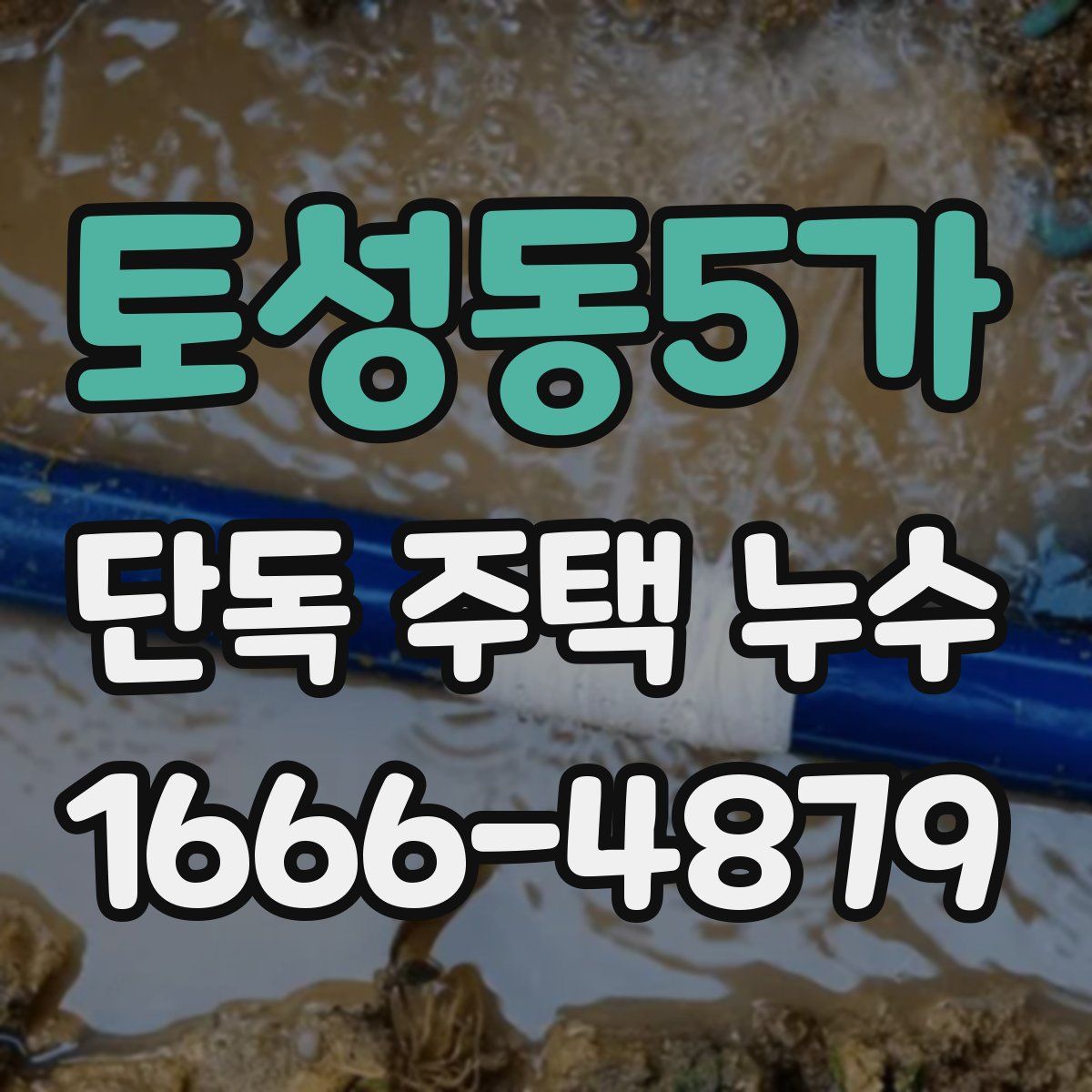 토성동5가 단독 주택 누수