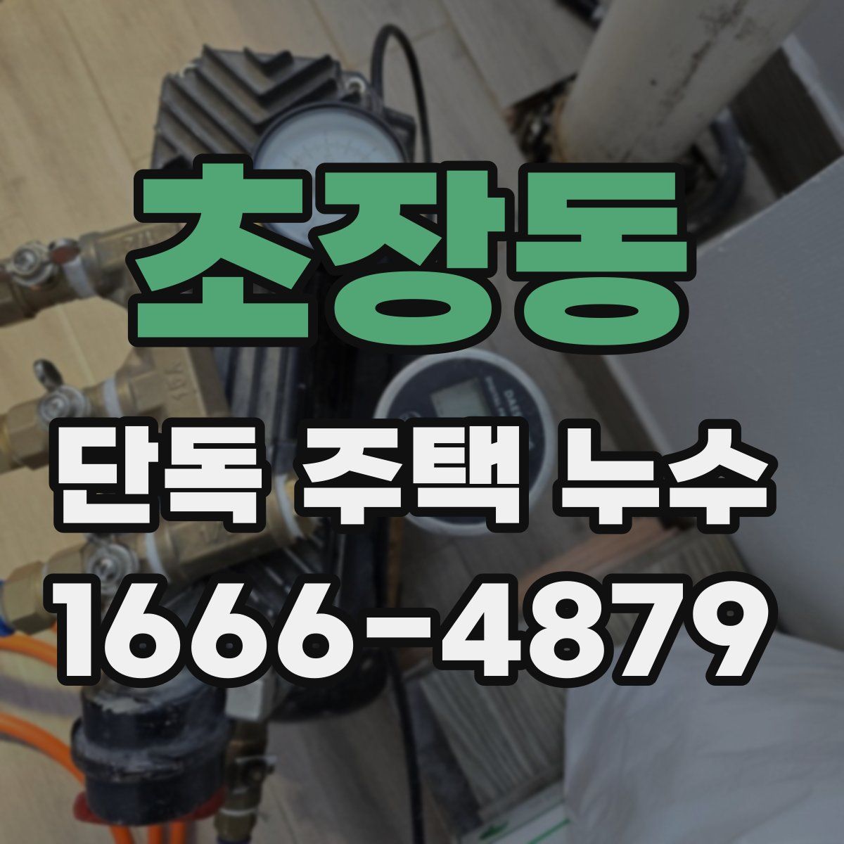 초장동 단독 주택 누수