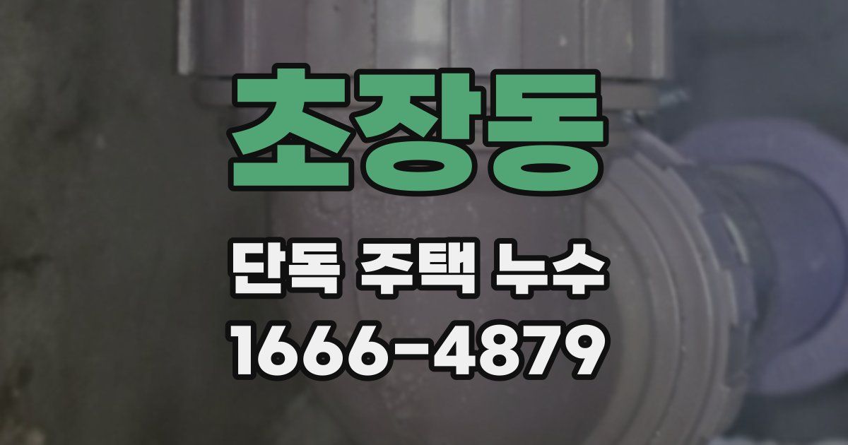 초장동 단독 주택 누수