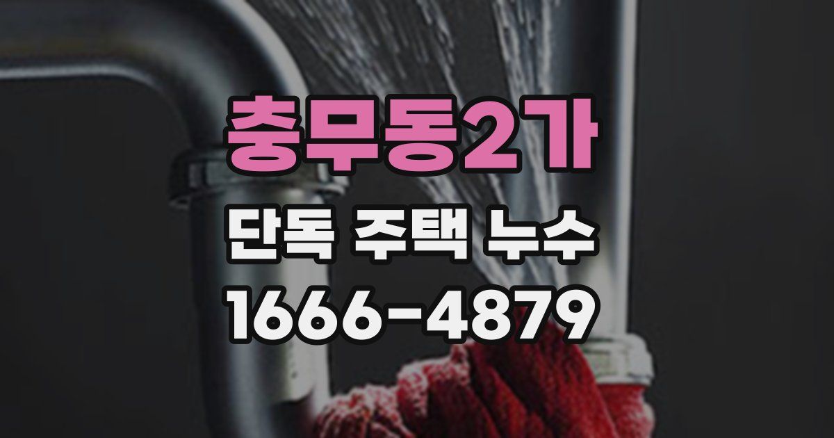 충무동2가 단독 주택 누수