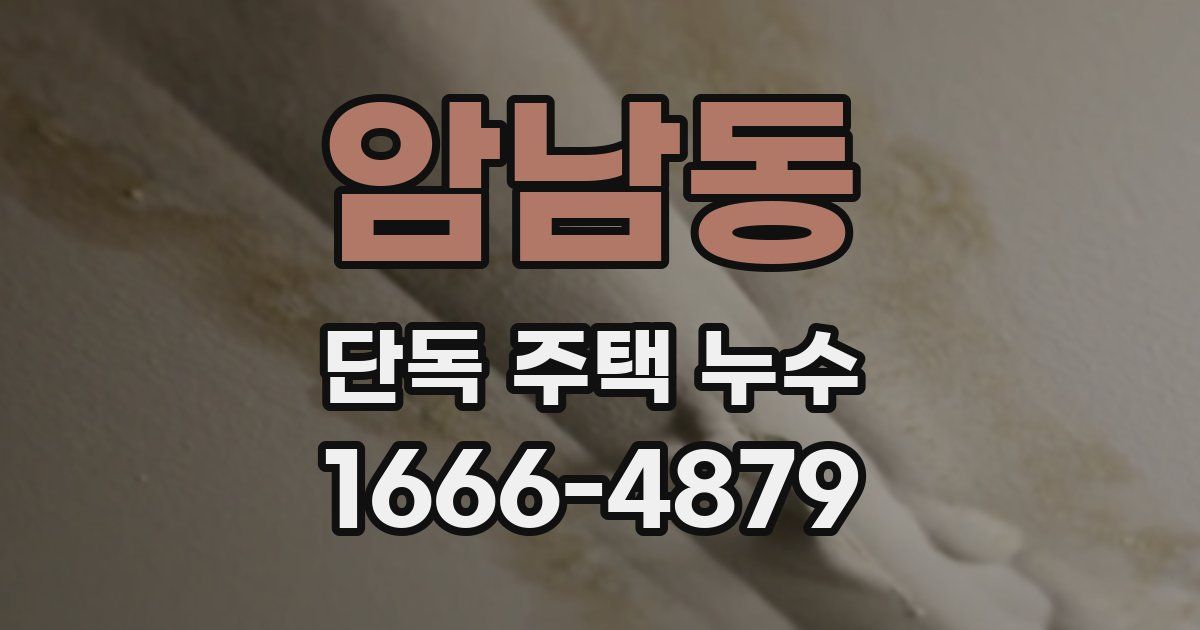 암남동 단독 주택 누수