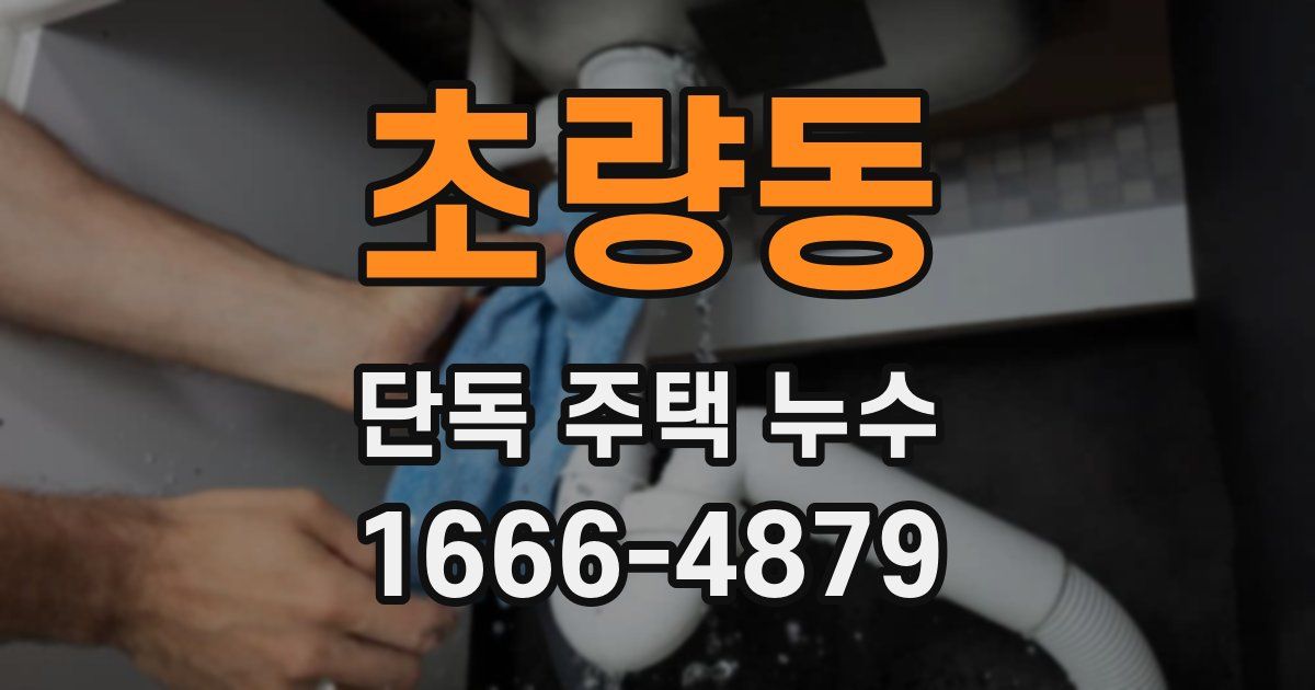 초량동 단독 주택 누수