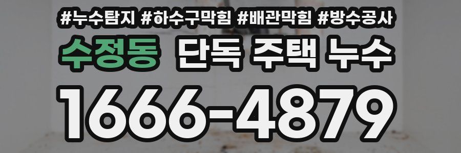 수정동 단독 주택 누수