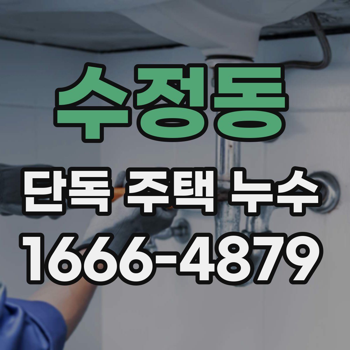 수정동 단독 주택 누수