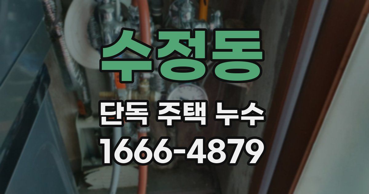 수정동 단독 주택 누수