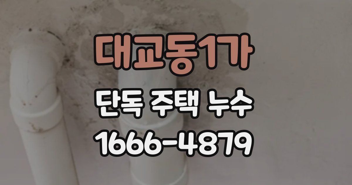 대교동1가 단독 주택 누수