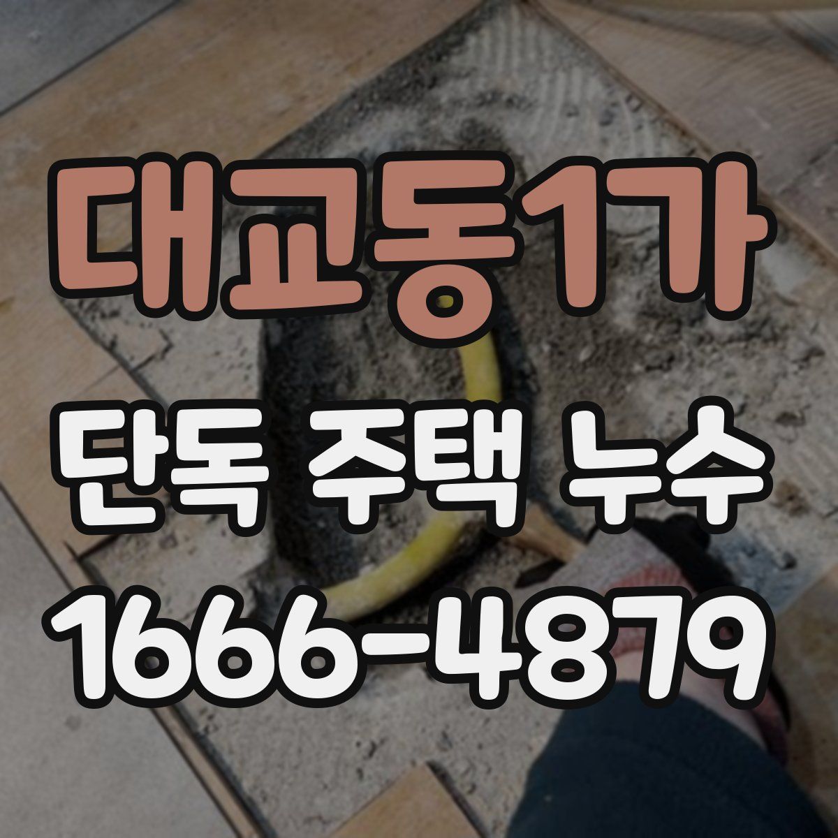 대교동1가 단독 주택 누수