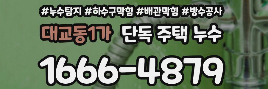 대교동1가 단독 주택 누수