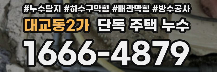 대교동2가 단독 주택 누수