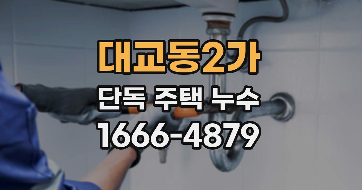 대교동2가 단독 주택 누수