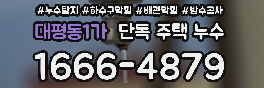 대평동1가 단독 주택 누수