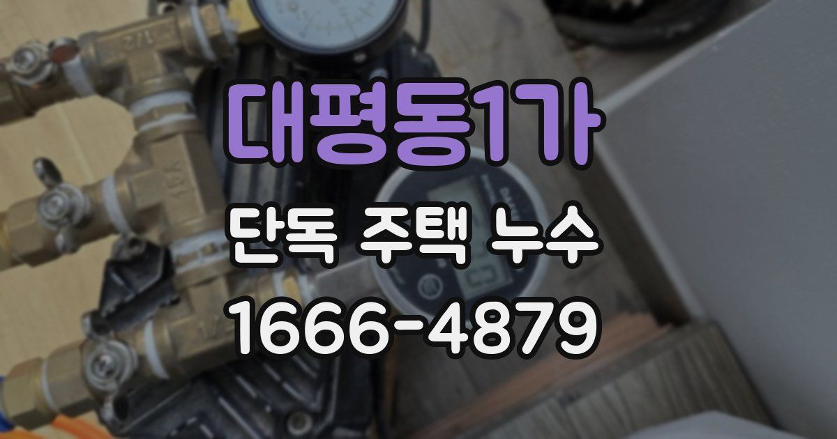 대평동1가 단독 주택 누수